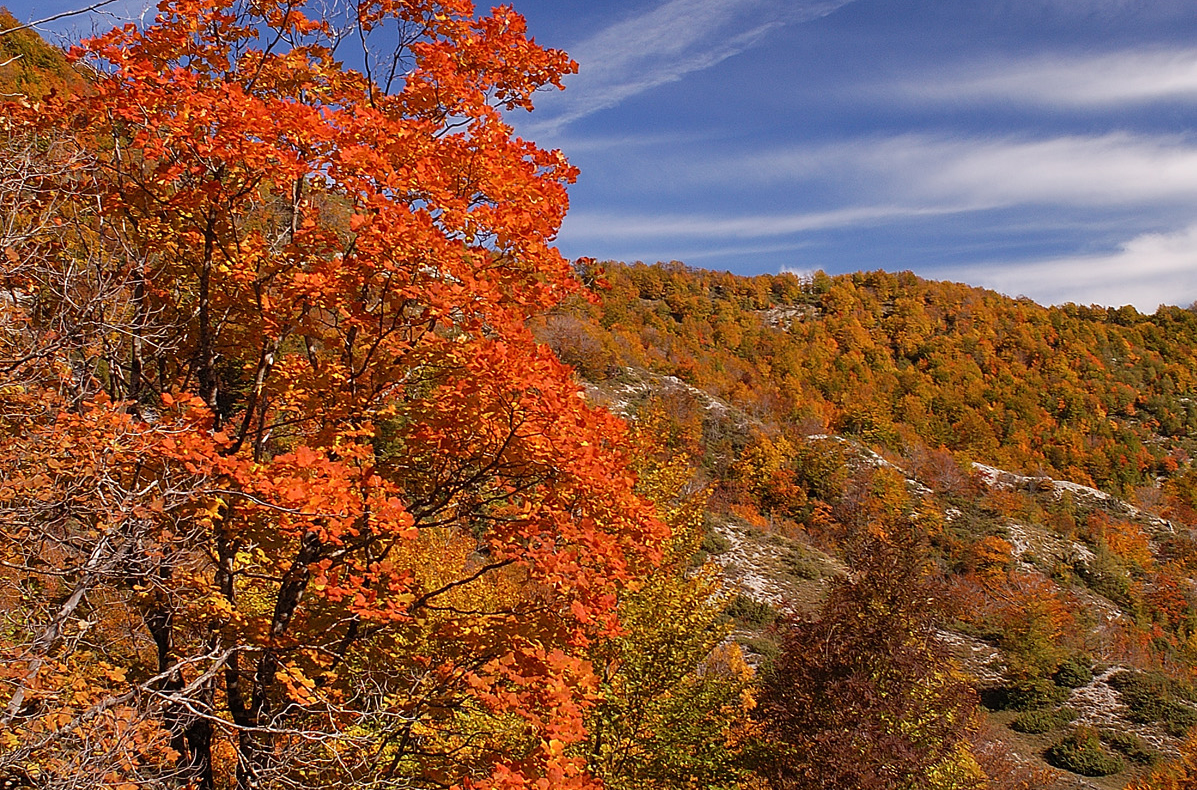 Autunno-Vallepietra_rit